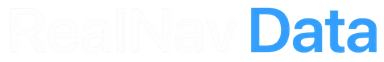RealNav Data logo